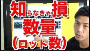 元金10万1ヶ月半たった今の結果がヤバイ!!本当に儲かる?FX自動売買ソフト検証中 数量(ロット数)徹底解説 ランキングなら俺的1位。【ラファエルさんみたく300万突っ込みたい】