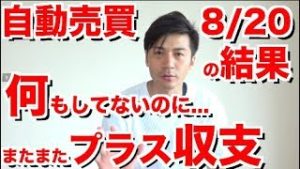 FX 自動売買 8月20日の結果 何もしてないのに…またまたプラス収支  10万円から始めた自動売買