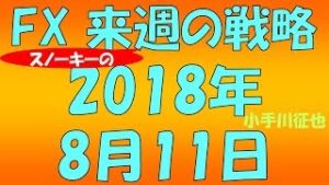 トルコリラ円は大波乱 FX スノーキー(小手川征也)の来週の戦略とビットコイン情報も 2018年8月11日