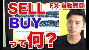完全放置でいくら増やせたか!?寝ててもお金が入るFX自動売買結果は?知ってるようで知らないSELLとBUY 検証したソフトの中でランキング1位!!【オレ的ゲーム速報FX Jinさんくらい儲けたい】