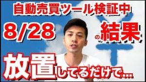 FX 自動売買ツール検証中！放置してるだけなのに…8月28日の結果発表！安定した収支に注目