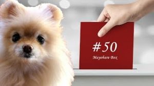 【迷晴れボックス#50】相場観（環境認識）とは世界観のこと。