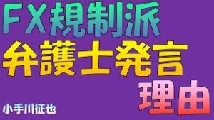 「FXレバ規制がなく残念だ」「FXは生計を立てるものではない」弁護士発言の意図は？