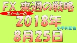 トルコは連休明け FX スノーキー(小手川征也)の来週の戦略とビットコイン情報も 2018年8月25日