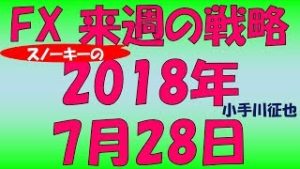 早くも夏枯れ？FX スノーキー(小手川征也)の来週の戦略とビットコイン情報も 2018年7月28日