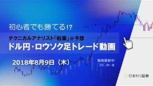 戦略に変更なし【180809ドル円・ロウソク足トレード動画】FX予想