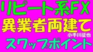 リピート系FX 異業者両建て スワップポイント編