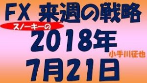 FX スノーキー(小手川征也)の来週の戦略とビットコイン情報も 2018年7月21日