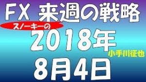【撮影方法変更】FX スノーキー(小手川征也)の来週の戦略とビットコイン情報も 2018年8月4日