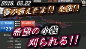 全一【FX BO】『 ニコ生』2018/08/22②