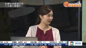 2018年8月30日放送　日経CNBC　『FX経済研究所』
