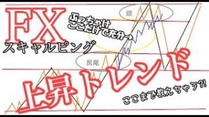 FX 上昇トレンドで限りなく確実に稼ぐ方法。　頭と尻尾はくれてやれ！！