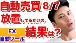 FX 自動売買 検証中! 完全放置してるだけの結果は?【2018年8月7日の結果発表】