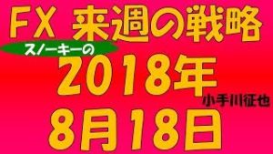 トルコは大型連休へ FX スノーキー(小手川征也)の来週の戦略とビットコイン情報も 2018年8月18日