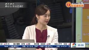 2018年8月22日放送　日経CNBC　『FX経済研究所』
