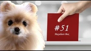 【迷晴れボックス#51】隅っこ＆真ん中は警戒シグナル！