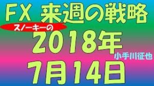 FX スノーキー(小手川征也)の来週の戦略とビットコイン情報も 2018年7月14日