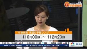 2018年9月3日放送　日経CNBC　『FX経済研究所』