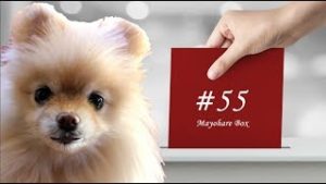【迷晴れボックス#55】仮説とは道のり、道があるから信じて進める。