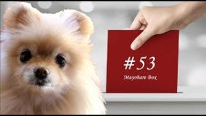 【迷晴れボックス#53】才能は孤独な時間に花開く。