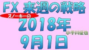 FX スノーキー(小手川征也)の来週の戦略 2018年9月1日