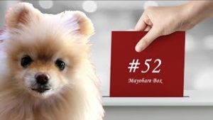 【迷晴れボックス#52】レンジ相場は、利食い千人力。
