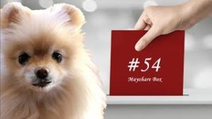 【迷晴れボックス#54】ラインブレイクの解釈