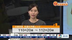 2018年9月10日放送　日経CNBC　『FX経済研究所』