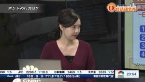 2018年9月12日放送　日経CNBC　『FX経済研究所』
