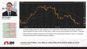 Forex News: 21/09/2018 – Euro rallies on weaker dollar; Brexit setback weighs on pound
