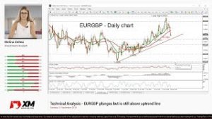 Technical Analysis: 11/09/18 – EURGBP plunges but is still above uptrend line