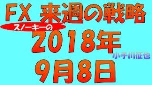 豪ドル・NZドルは第2第3のトルコリラに？ FX スノーキー(小手川征也)の来週の戦略 2018年9月8日