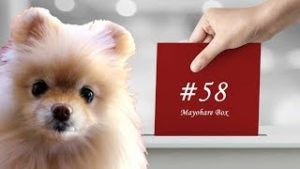 【迷晴れボックス#58】その日の予定を埋めて、予定にないことはしない。