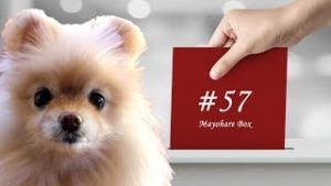 【迷晴れボックス#57】フローで分析、ストックでエントリー。
