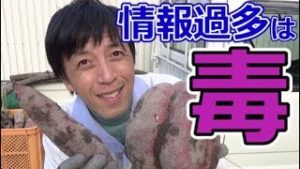 【違う！】情報は多いほど勝てる←コレ（常勝FXすたろん）