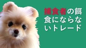 当り前を守り、当たり前を破る。