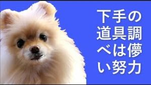 下手の道具調べが成功を遠ざける