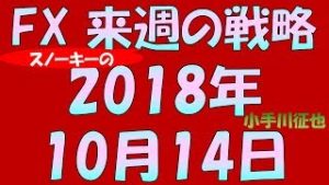 材料なき急落？ FX スノーキー(小手川征也)の来週の戦略 2018年10月14日