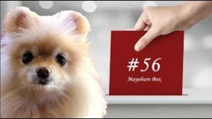 【迷晴れボックス#56】前提を間違うと、全て間違ってしまう。