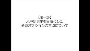 米中間選挙を目前にした通貨オプションの焦点について