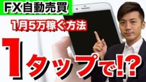 FX自動売買は初心者向けの投資? 1タップで稼ぐには 今や主婦から老後を謳歌するご年配の方までもスマホ一つで簡単に儲けてる!? 2018年10月24日のツール検証結果報告!