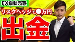 リスクヘッジは必須!?昨日は◯万円出金しました!!初心者さんは特に稼いだら出金の習慣を身につけましょう!!僕的副収入のススメ！2018年10月30日のFX自動売買ツール検証結果報告