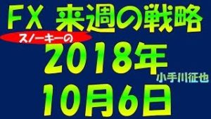 米長期金利上昇でリスクオフ FX スノーキー(小手川征也)の来週の戦略 2018年10月6日