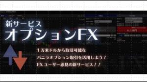 SBI FXトレード　オプションFX　コールオプションについて