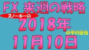 Thanksgiving Dayに向けてどう動く FX スノーキー(小手川征也)の来週の戦略 2018年11月10日