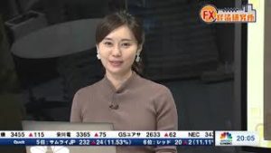2018年11月27日放送　日経CNBC　『FX経済研究所』