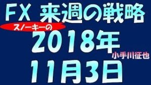 米中貿易摩擦後退 FX スノーキー小手川征也の来週の戦略 2018年11月3日