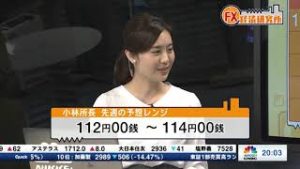 2018年11月12日放送　日経CNBC　『FX経済研究所』