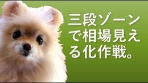 三段ゾーンで相場見える化作戦。