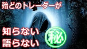 『大暴露』超上級トレード法（常勝FX）